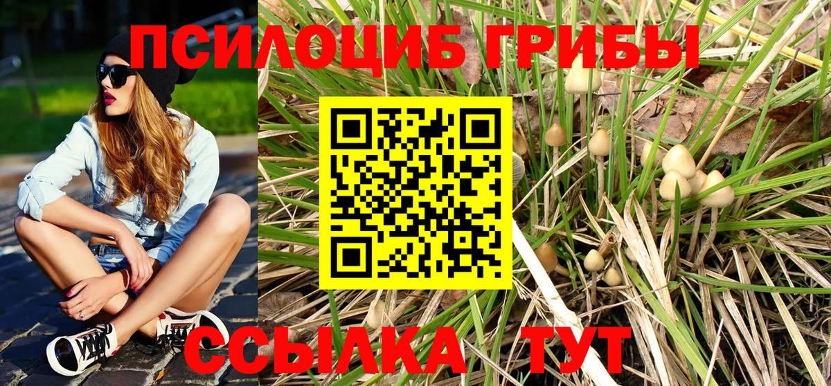 Псилоцибиновые грибы GOLDEN TEACHER  Вход с VPN  Ялта 